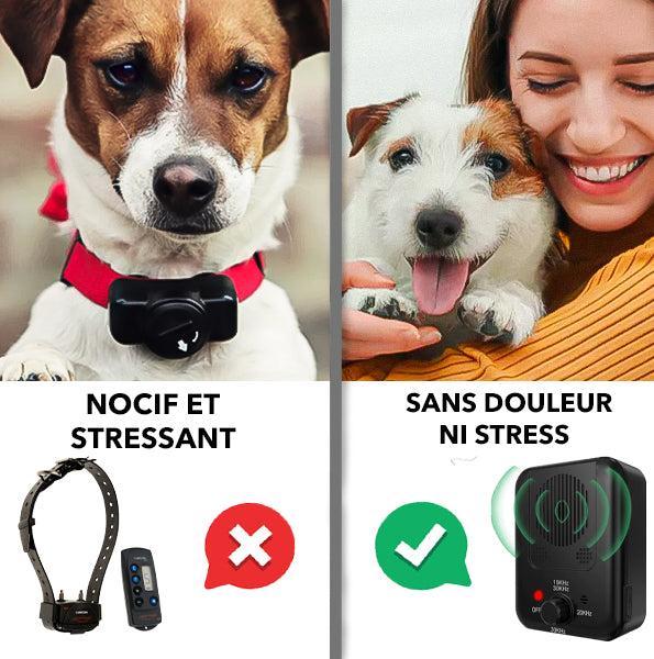 SilentBuddy : Des aboiements ? Pas de probléme !