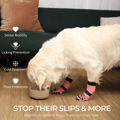 Chaussettes Antidérapantes et Protectrices PawSafe