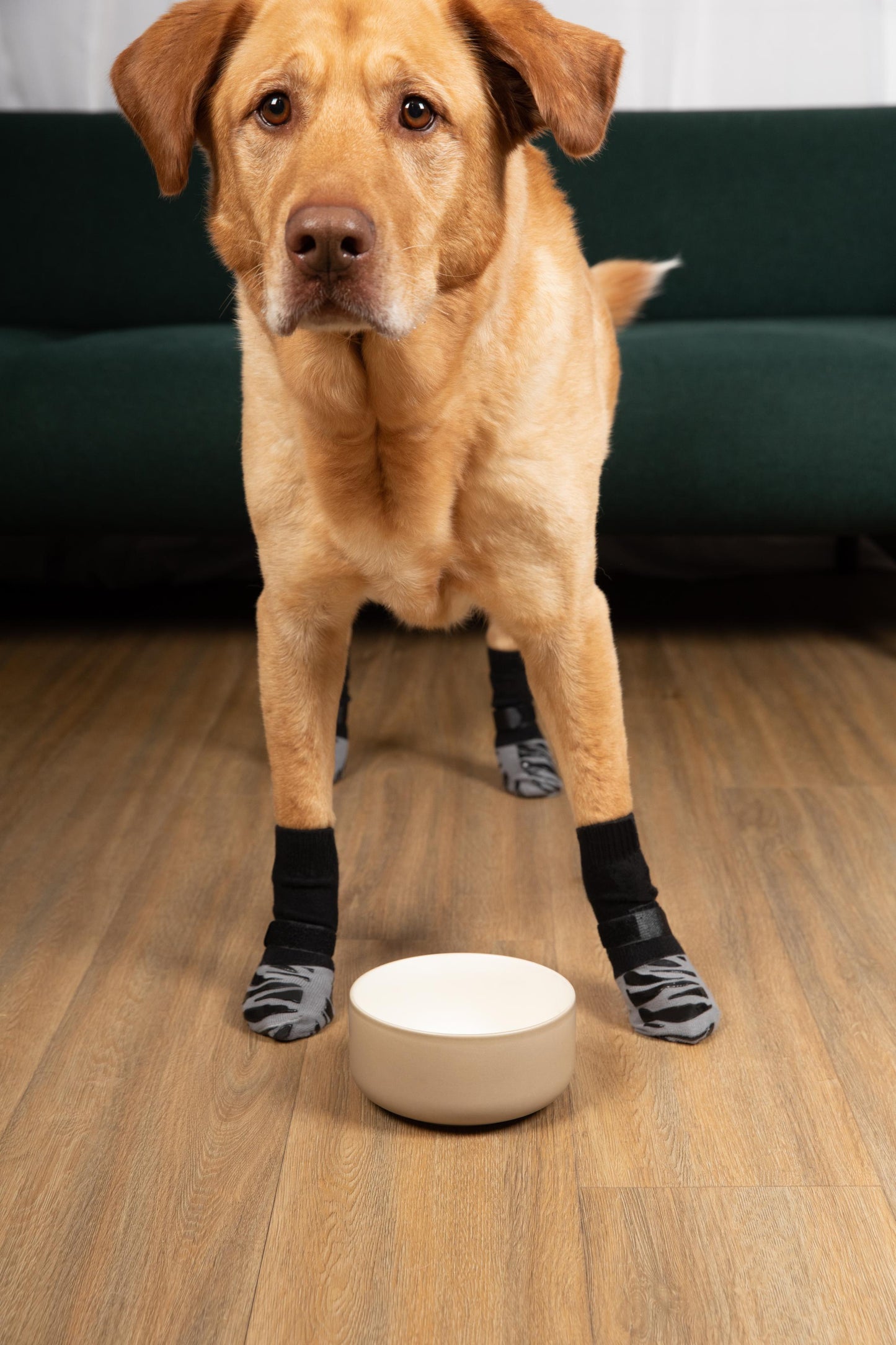 Chaussettes Antidérapantes et Protectrices PawSafe